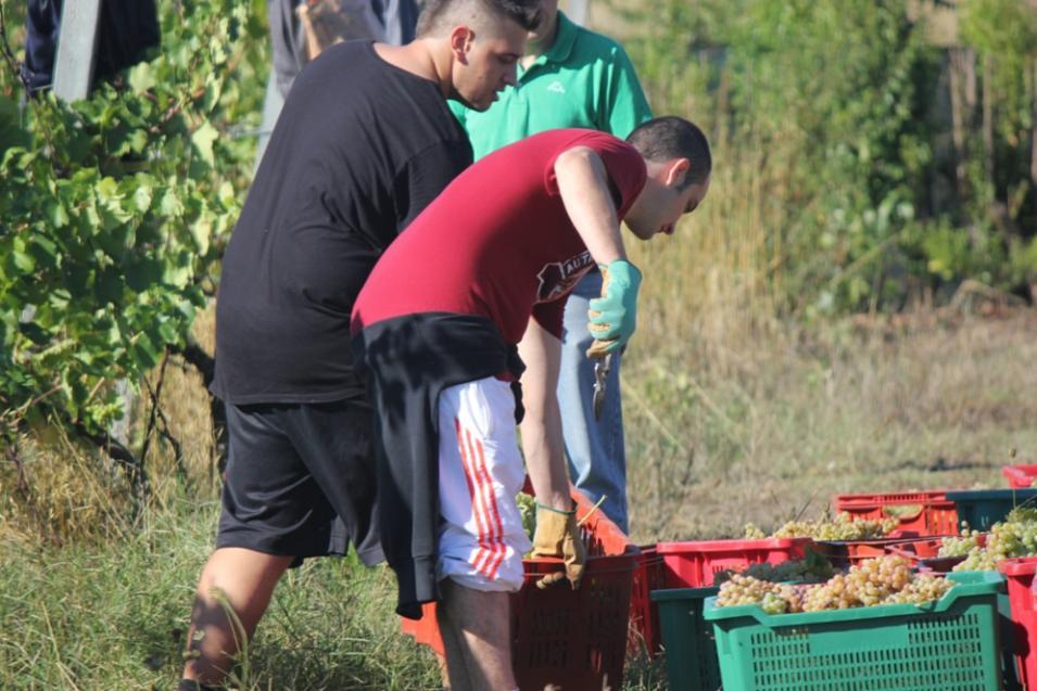 Alternanza Scuola Lavoro l alternanza scuola lavoro è intesa come il raccordo della scuola con il tessuto attivo e produttivo del territorio.