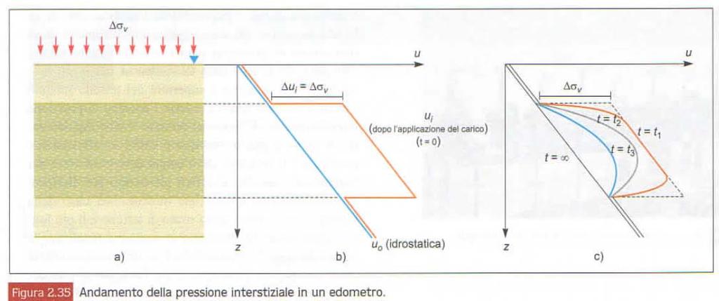 Proa edometrica In quali tempi aiene la consolidazione