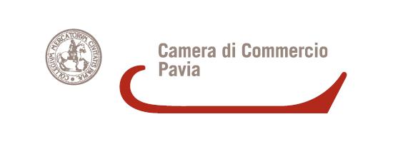 Pavia, 20 febbraio 2012 Prot.n. 2784 SPETT.LE Destinatari vari Loro sedi OGGETTO: Proposta di incarico di I.R.