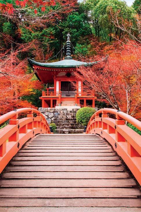 2 giorno TOKYO (prima colazione) Giornata dedicata alla visita della città in italiano: l osservatorio del Tokyo Metropolitan Museum, il Santuario Meiji Jingu, Harajuku e il distretto di Omotesando,