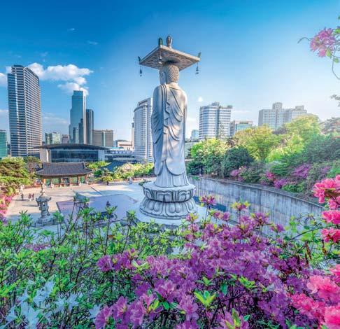 giappone e corea Passaggio in Corea IL CONSIGLIO DELL ESPERTO HOTELPLAN: La Corea del Sud è una destinazione necessaria per i viaggiatori amanti dell Asia.
