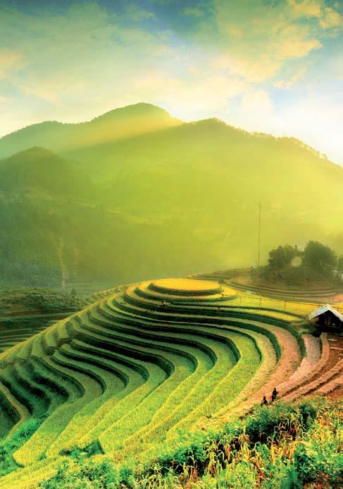 cina 8 giorno KORLA / KUQA (301 km) (prima colazione, pranzo e cena) Dopo la prima colazione partenza in auto per l Oasi di Kuqa.