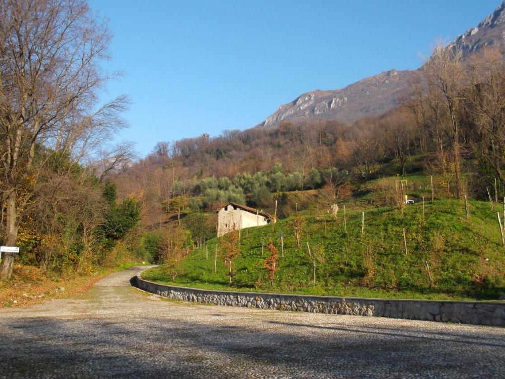 L olivicoltura è faticosa anche nei territori più favorevoli, figuriamoci quanto lo è nella nostra zona, dove gli olivicoltori si sono procurati i terreni costruendo i terrazzamenti sui versanti