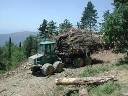 Gli investimenti e le ricadute economiche Lo sfruttamento energetico delle biomasse forestali può rappresentare il motore economico per lo sviluppo del territorio La riqualificazione del territorio
