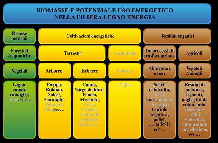 Le filiere di approvvigionamento