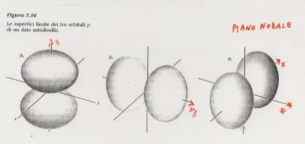 ORBITALE p Esistono per n>1 ed hanno sempre l=1 ed m l = -1, 0, 1. Sono possibili 3 orientazioni!