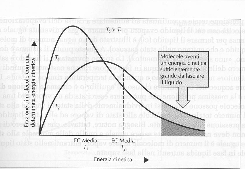 PROPRIETÁ DEI LIQUIDI Tensione di vapore: Aumenta fortemente con la temperatura; Se p = p