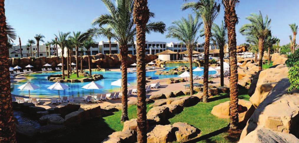 Egitto SHARM EL SHEIKH VeraResort Sentido Reef Oasis Senses LA SPIAGGIA Il VeraResort dista 350 mt circa dalla bella spiaggia di sabbia, attrezzata con lettini e ombrelloni gratuiti (fino ad