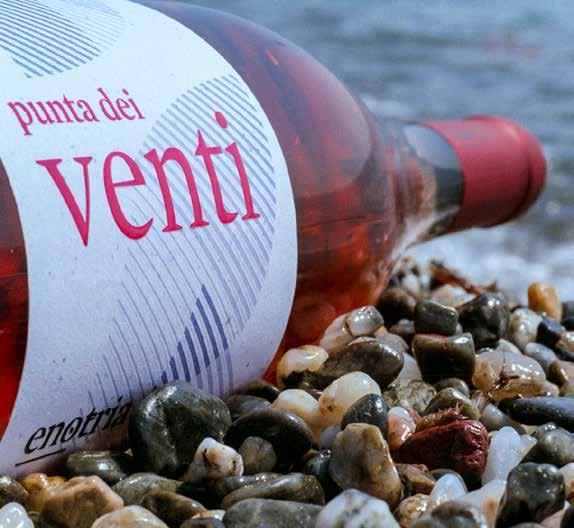 Punta dei Venti Denominazione Calabria IGT Varietà Gaglioppo 100% Vinificazione Diraspatura e breve