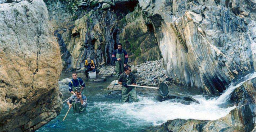 Indagini ambientali Obiettivi: Valutare la qualitàdell acqua e dell ecosistema acquatico Rilevare eventuali fattori