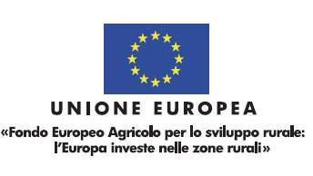 VISTI Il Reg. (UE) n.