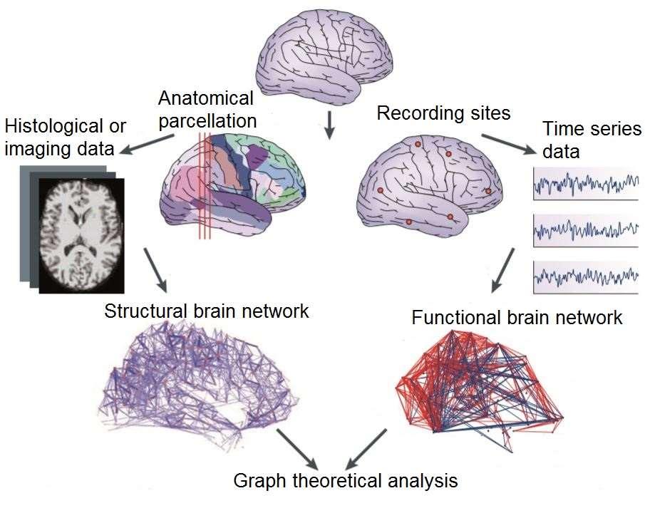 grafo, o rete neurale Nodi: idealmente singoli neuroni, in pratica ROI