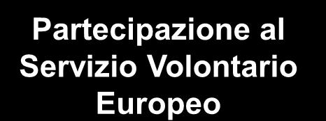 informazione Percezione di essere cittadini europei Scarsa conoscenza delle lingue Mancata percezione delle