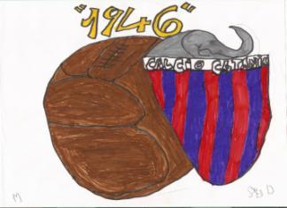 Attività: il disegno la rappresentazione del tifo Solo il 20% dei disegni mostra la presenza dei simboli relativi alla Società Calcio Catania.