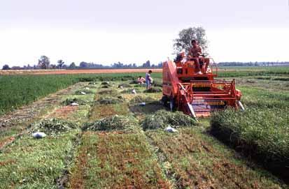 indirizzate agli operatori agricoli e di un attività di formazione dei tecnici delle imprese