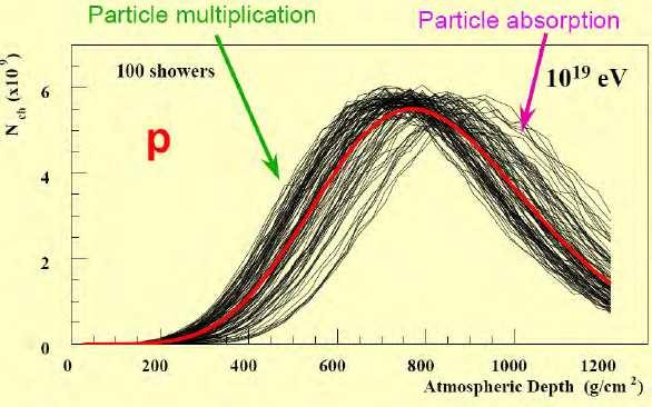 Km 1. Gli EAS man mano che si propagano nell atmosfera aumentano il numero delle particelle secondarie fino a raggiungere un massimo. 2.