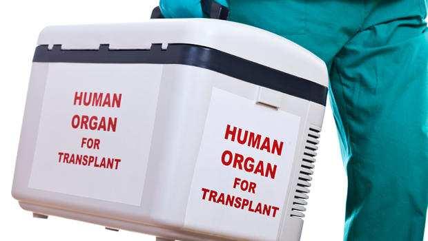 uomo: Organi per il trapianto Cellule staminali