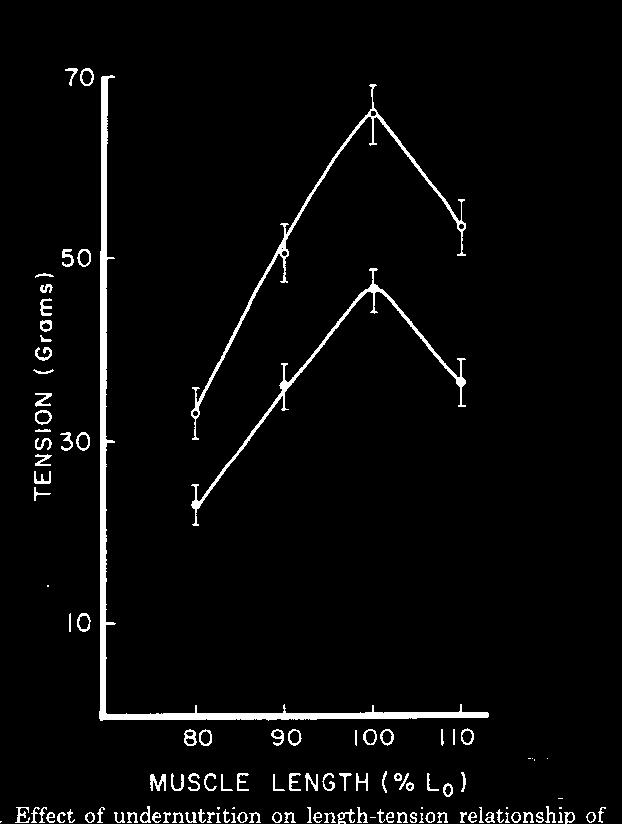 Effects of prolonged undernutrition on structure and function of the