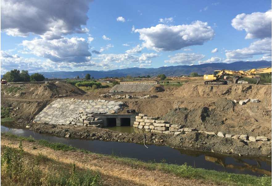 Cassa di espansione di Ponte Attigliano