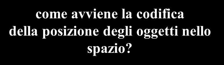 Il paradigma usato per rispondere a questo quesito é stato questo: + Punto di fissazione