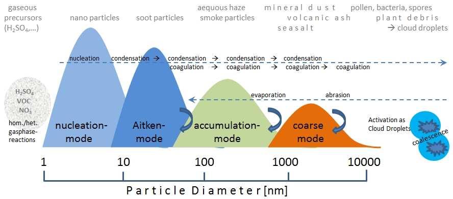 Distribuzione dimensionale Nucleation mode [3-25 nm]