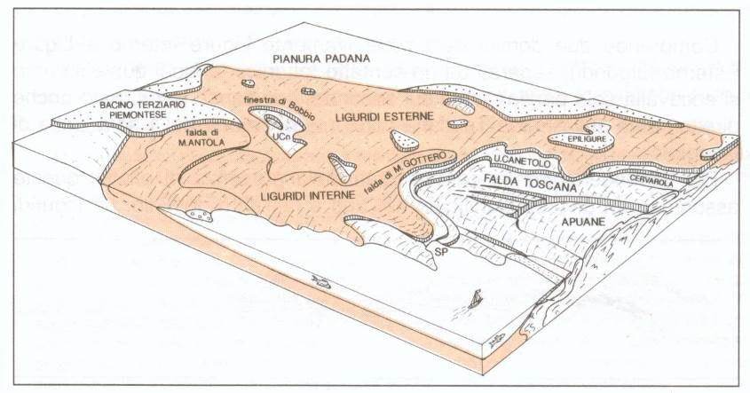 substrato costituito da una serie di unità autoctone (Unità della Falda Toscana, Unita di Pracchiola- Bobbio-Cervarola e Cervarola e Unità padano adriatiche).