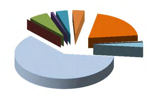 Elenco causali dei decreti 2011-2012 Dati al 30/06/2012 Causali Da Gennaio al 30/06/2012 2011 % su tot 2012 % su tot Diff.nza su anno crisi aziendale 2.353 61,50% 1.595 55,27% -758-32,21% amm.