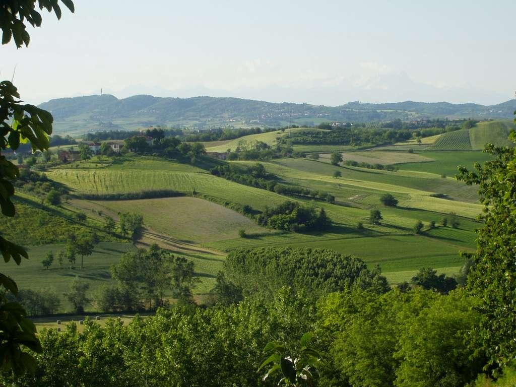 STUDY OF LAND-USE CHANGES AND THEIR EFFECTS ON LANDSCAPE OF MONFERRATO TERRITORY (PIEDMONT ITALY) APPLYING A NEW MULTIDISCIPLINARY APPROACH: THE ROLE OF THE LANDSCAPE OBSERVATORIES FOR THE BOTTOM-UP