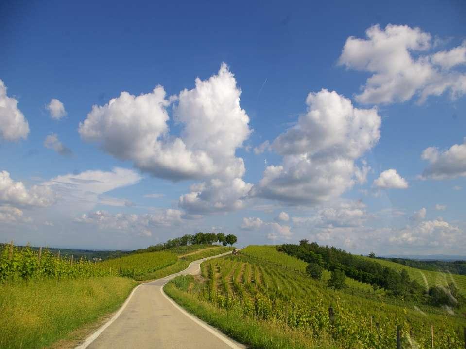 LANDSCAPE OBSERVATORIES IN PIEDMONT