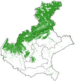 superficie nazionale Superficie forestale raddoppiata dal 1950 0,42 Mha* 25% superficie regionale In espansione Più del