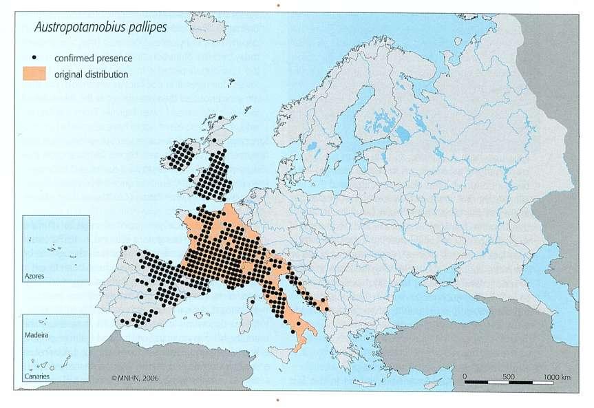 da: Atlas of Crayfish in Europe. Series: COLLECTION PATRIMOINES NATURELS 64.