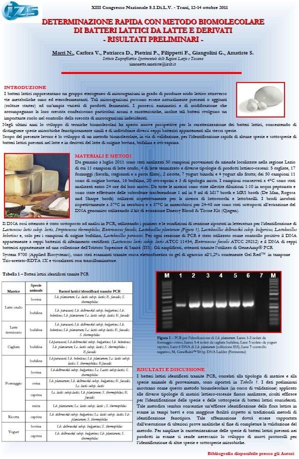 METODICHE BIOMOLECOLARI Specie animale Batteri lattici identificati tramite PCR bovina Lb. plantarum; Lc. lactis subsp. lactis; E. faecalis; S. thermophilus bufalina Lb. paracasei; Lb.