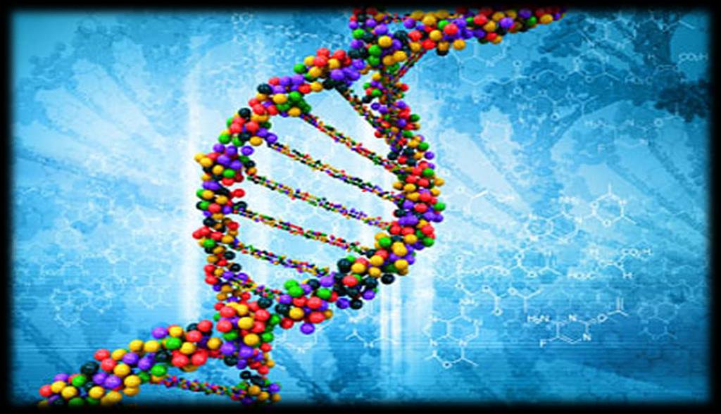 Biologia molecolare in oncologia: TUMORE DEL COLON-RETTO TECNICHE DI ANALISI MOLECOLARE Laboratorio di