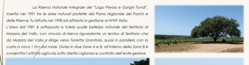 Riserva Naturale Lago Preola e Gorghi Tondi La Riserva Naturale Integrale del Lago Preola e Gorghi Tondi, inserita nel 1991 tra le aree naturali protette del Piano