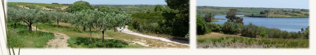 L area dal 1981 è sottoposta a tutela quale bellezza naturale del territorio di Mazara del Vallo, con vincolo di riserva riguardante un lembo di territorio che da