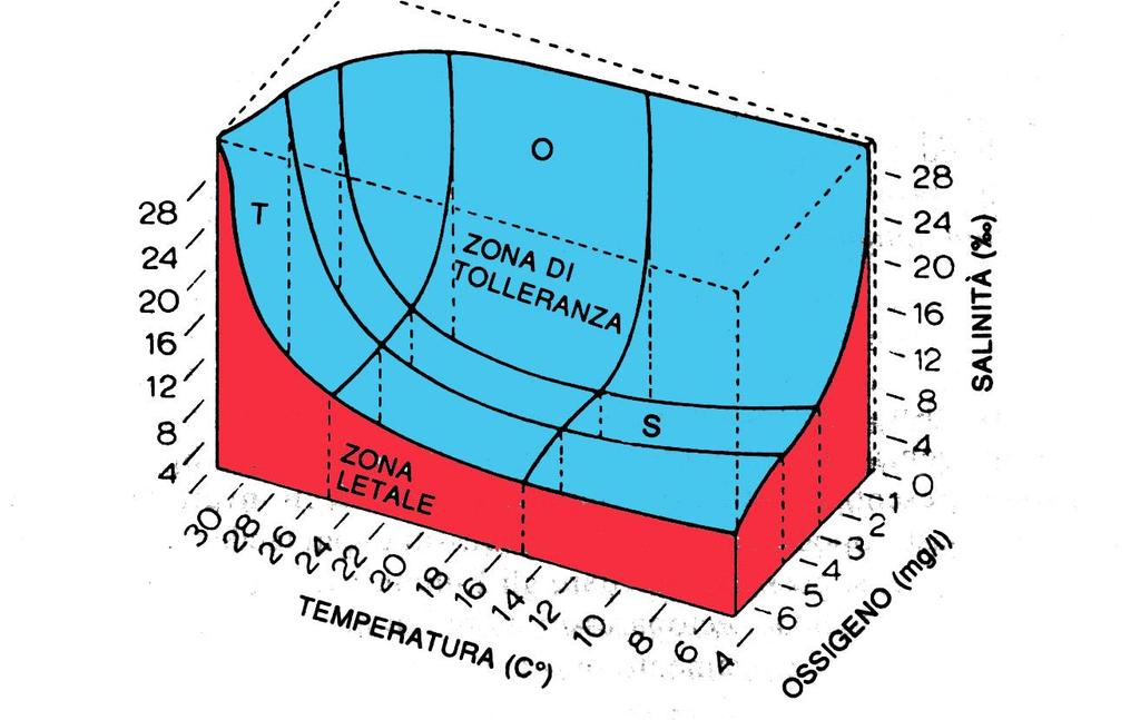 Fattori limitanti: Moto ondoso Correnti Temperatura Percentuale di sostanze solide