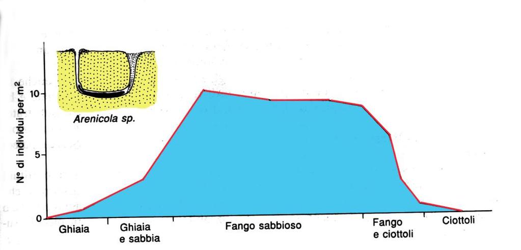 Variazioni dell abbondanza