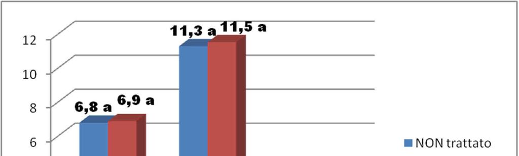 INSETTICIDI DEL SUOLO 2011