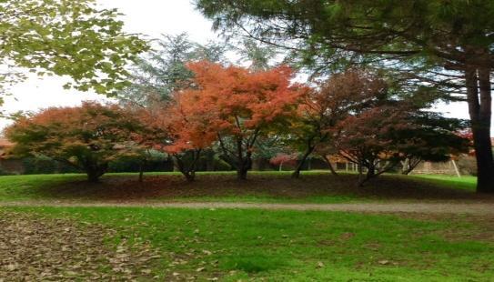 realizzazione giardino dispersione ceneri