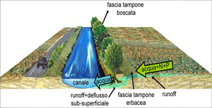 diffusa o puntiforme FASCE TAMPONE BOSCATE -FTB AFF (inverse) SISTEMI