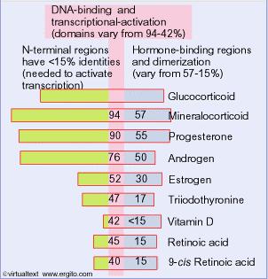 Le diverse attività biologiche dei vari steroidi