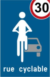 BELGIO In Belgio sono entrati in vigore dal 13 febbraio 2012, il termine della strada ciclabile (Fietsstraat/Rue cyclabie) e dal 4 dicembre 2012, i segnali stradali associati che segnano l'inizio e