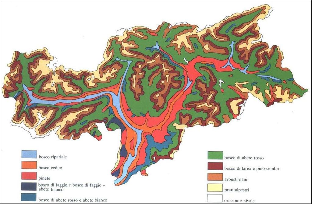 DESCRIZIONE DEL TERRITORIO 1.5 VEGETAZIONE NATURALE IN ALTO ADIGE Il Parco Naturale Puez-Odle si colloca nel settore meridionale delle Alpi Interne.