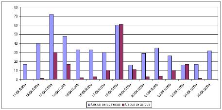 Malta La migrazione primaverile a Malta: risultati del campo organizzato da BirdLife Malta (11-26 aprile 2009) Dr.