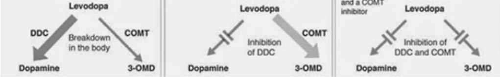 + BENSERAZIDE (Madopar) (Stalevo ) dose di circa