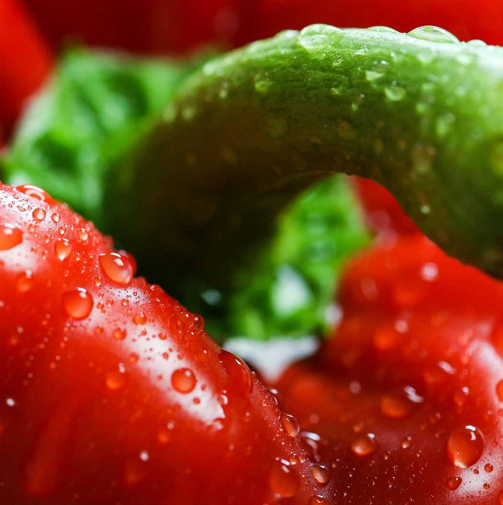 Il sugo ai peperoni è il condimento ideale per la preparazione di una pietanza deliziosa ma al contempo semplice e genuina.