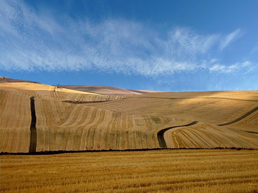 Il pagamento verde - GREENING Sicuramente la risposta è SI.