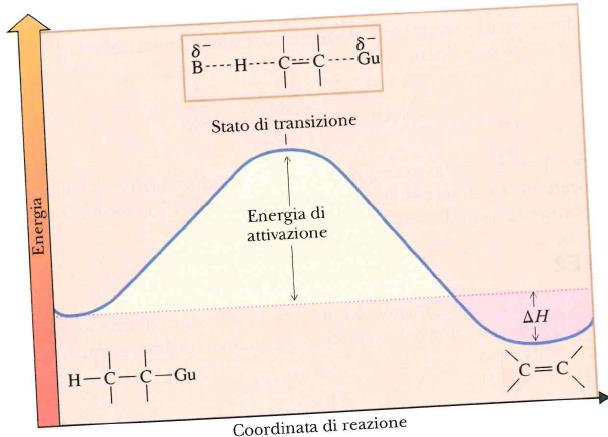 E2: Meccanismo Bimolecolare v = k [alogenuro][base] nel TS dello stadio più lento sono