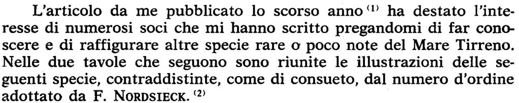 Conchiglie I Milano I Il I (34) I 87-92 I marzo-aprile 1975 Fulvio Giannini CONCHIGLIE RARE RACCOLTE NEL TIRRENO (Nota seconda).
