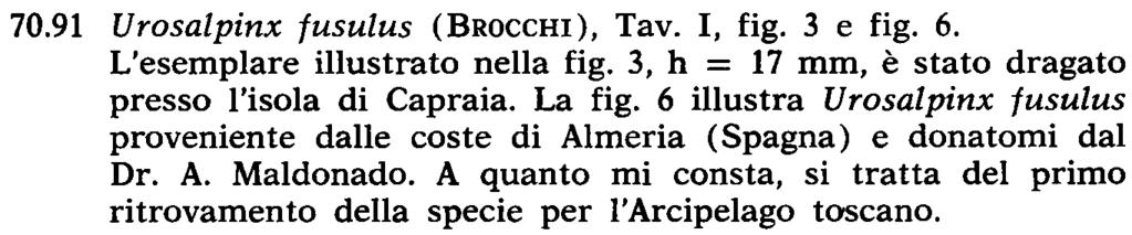 La località tipo indicata da CoNo CATE è la Sardegna nord occidentale. 70